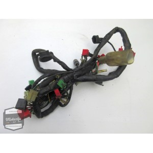 Honda CBR600 kabelboom / draadboom / bedrading / kabel draad boom / bekabeling